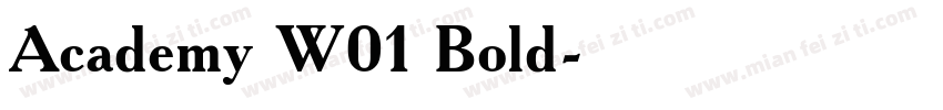 Academy W01 Bold字体转换